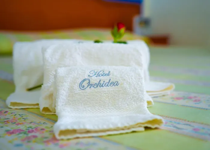 Hotel Orchidea