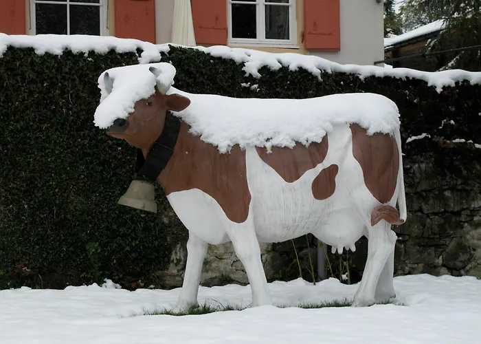 Swiss Historic Hotel du Pillon