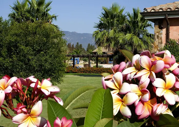 Lantana Resort Hotel&Apartments