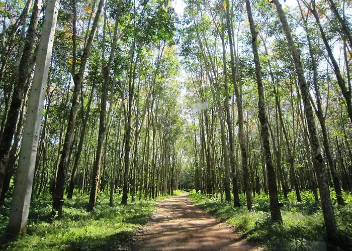 Phanom Bencha Mountain Resort