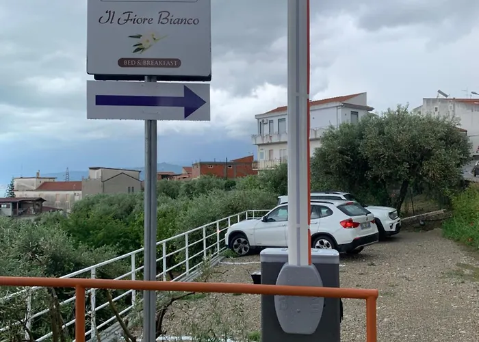 Il Fiore Bianco