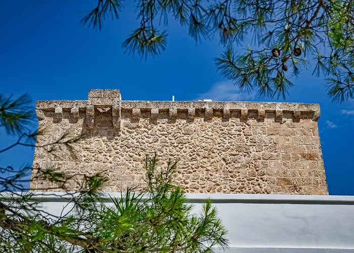 torre casciani