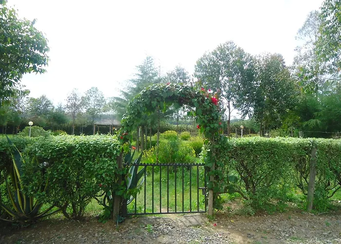 Triple Eden Resort - Naivasha