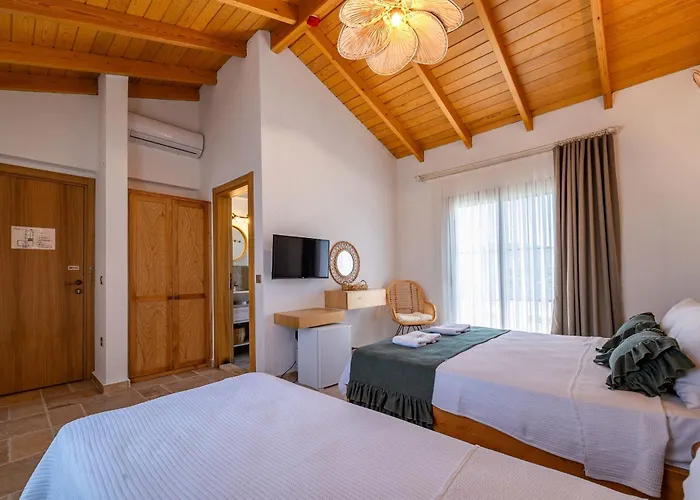 Hatica By Fora Alacati