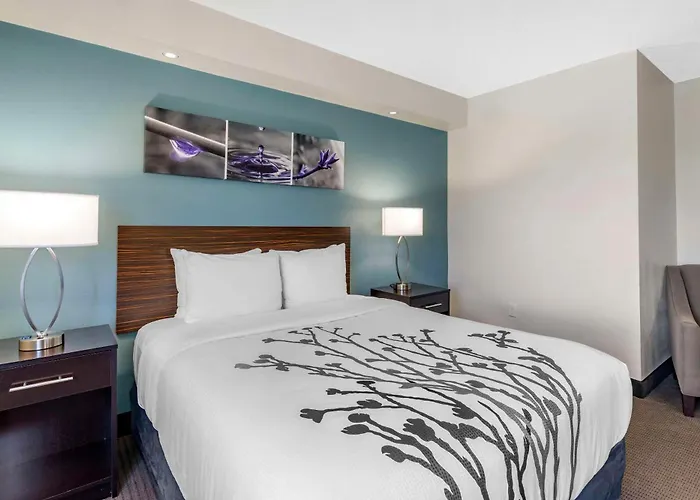 Sleep Inn Clearwater-St Petersburg