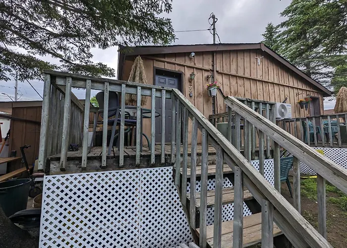 Modern Tiny Wood Cottage 03