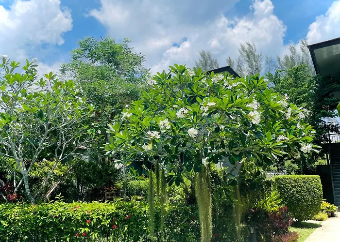 Khaolak Forest Resort