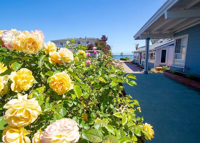 Edgewater Beach Inn