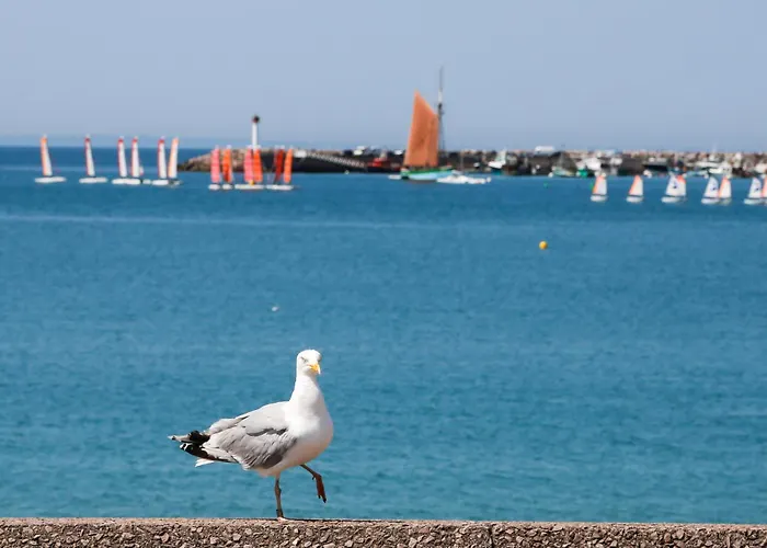 25m de la plage, vue mer, appartement pour 4