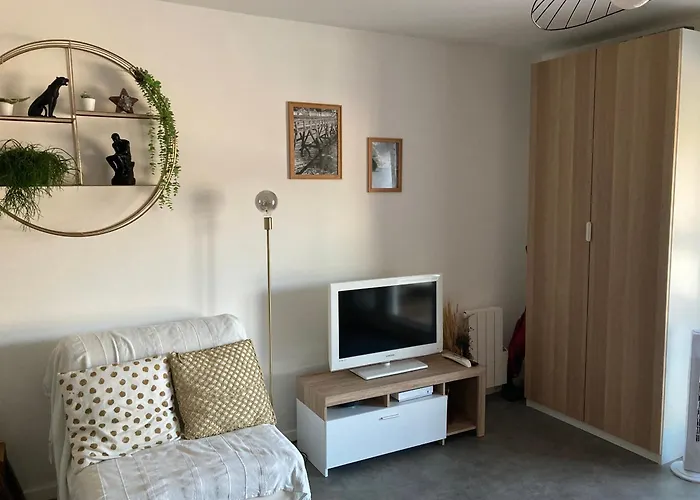 Charmant Studio avec vue sur le port et falaises