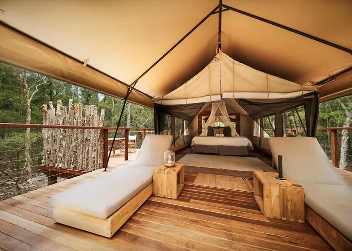 Paperbark Camp