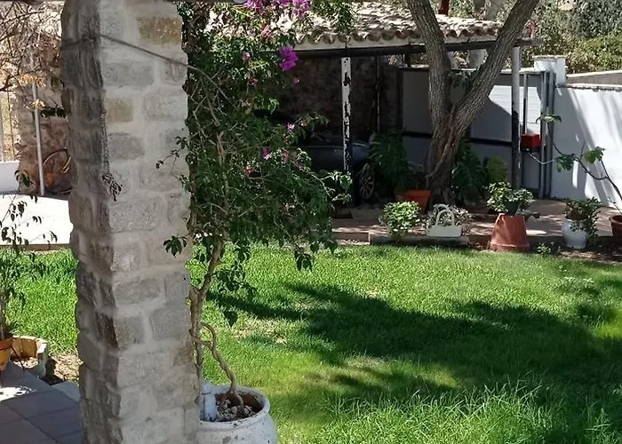 La Luciérnaga