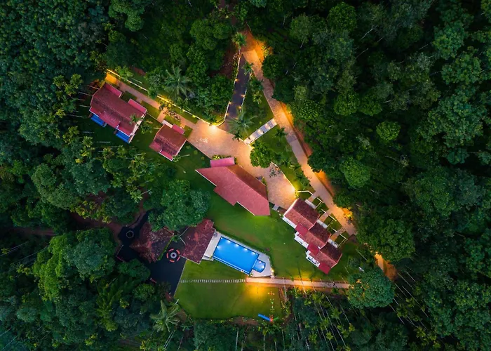 Theyila Wayanad Premium Pool Resort
