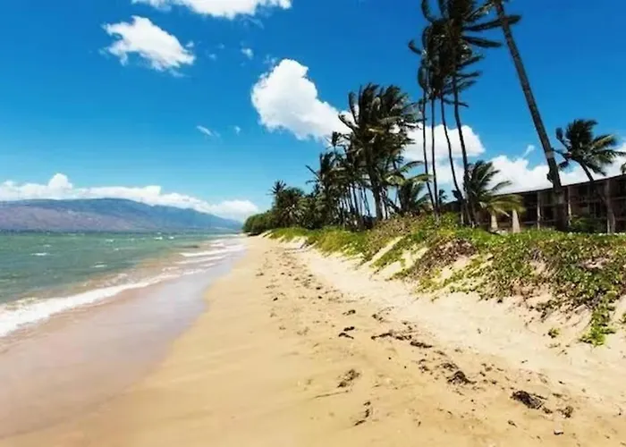 Huge 1 Bedroom In Heart Of Kihei
