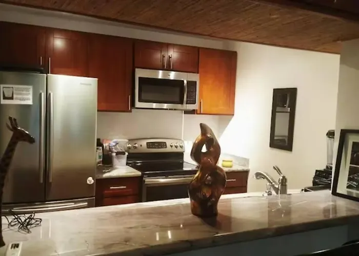 Huge 1 Bedroom In Heart Of Kihei