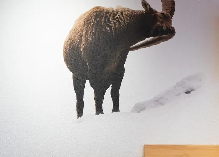 Hotel Les Chamois