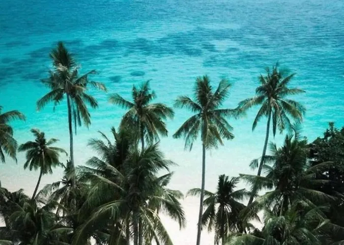 A Caribbean-Style Rebirth, 2 Minutes From The Beach