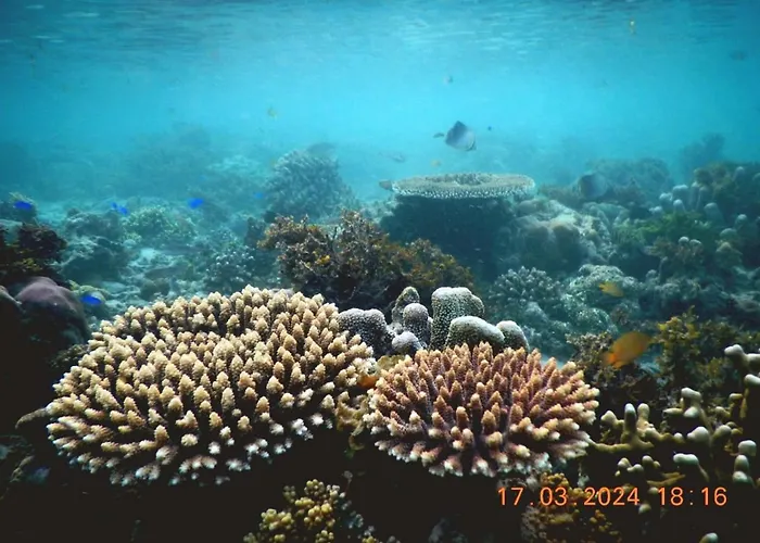 Raflow Resort Raja Ampat