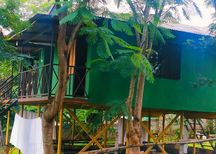 Mist Valley Wildlife Resort