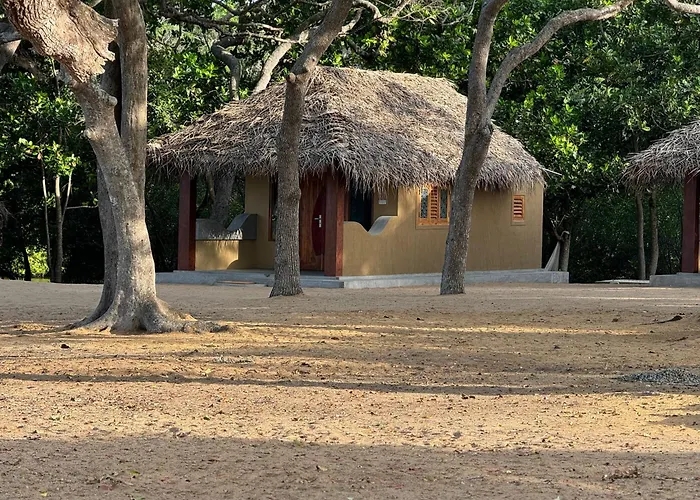 Peanut Farm Surf And Wild Resort - Arugambay