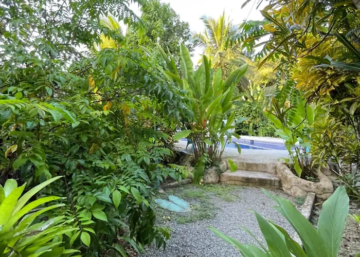 Pangea Lodge Tropical Vibe Home With Shared Pool