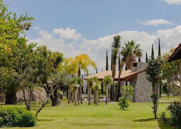Vid De Luna San Miguel De Allende