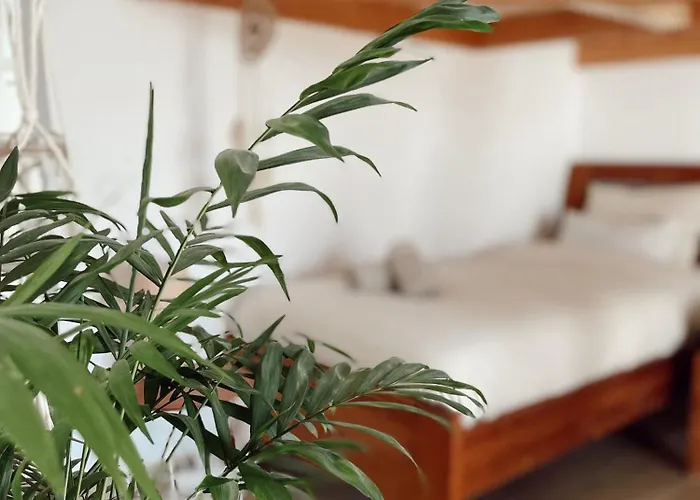 Surf & Yoga Retreats Fuerteventura