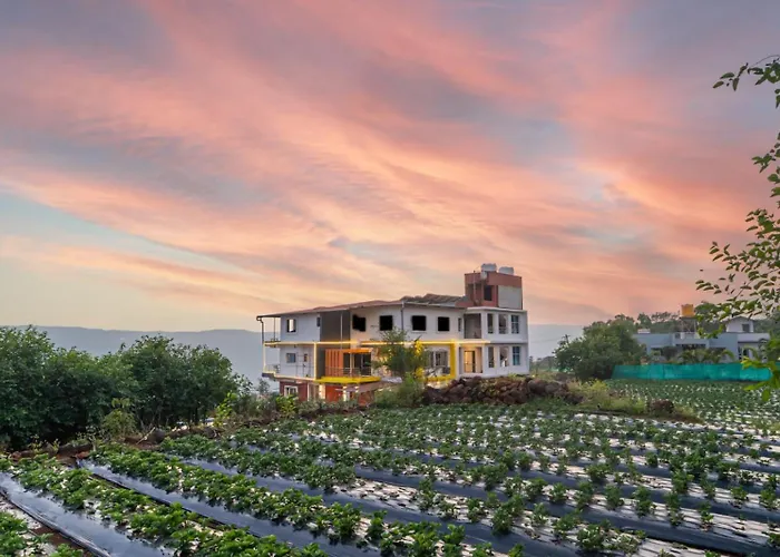 Strawberry King Resort
