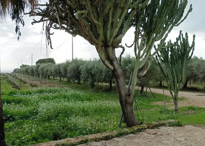 Casa Bouganville villetta tra le vigne e il mare