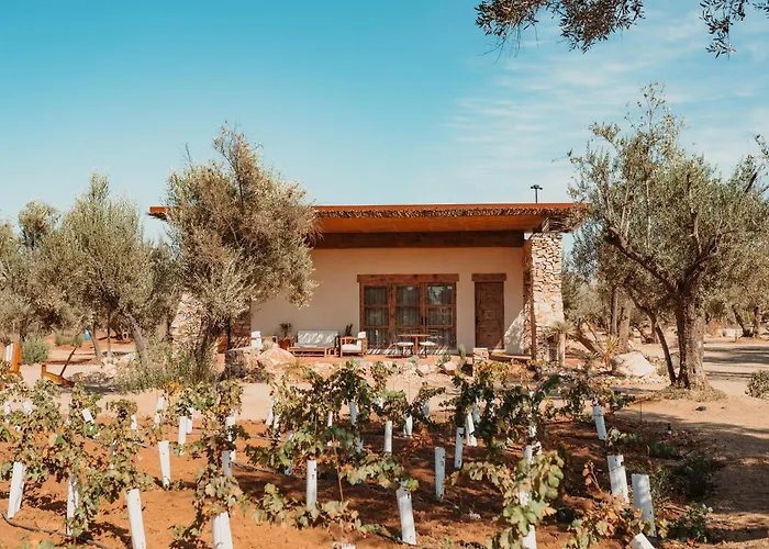 Habimo - Valle De Guadalupe