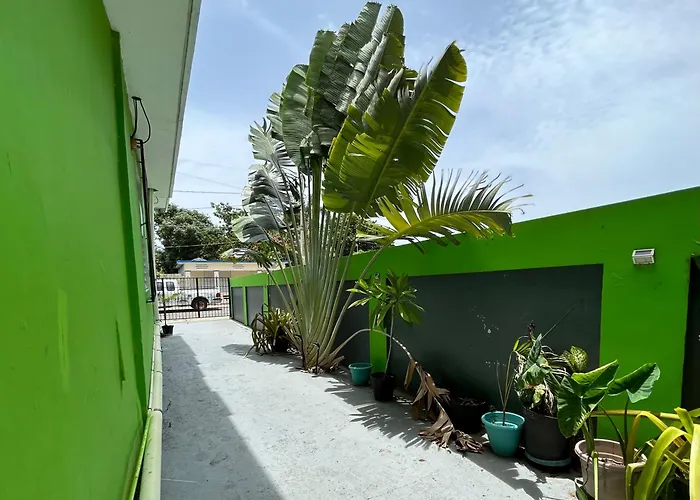 Vieques Good Vibe Guest House