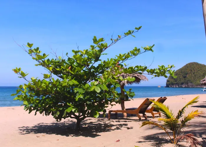 Driftwood Village Resort