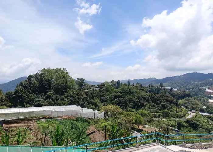 Cameron Highlands Blueberry Earth House