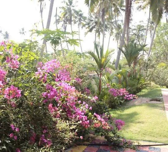 Fool'S Paradise Homestay