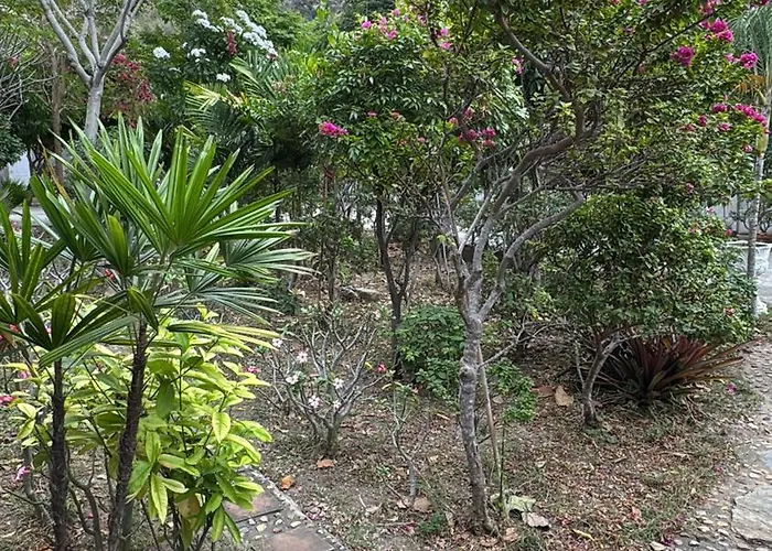 Phurang Hill Resort