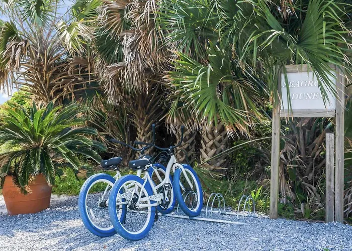 Available For Season! One Life One Love Gulf-Front Townhome