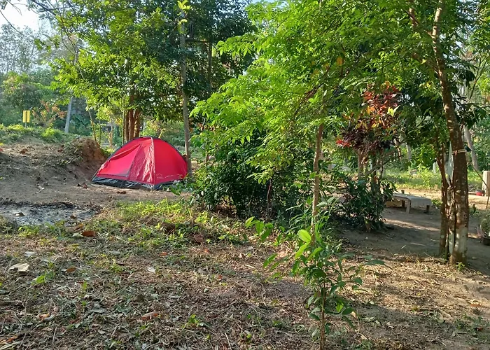 Bangkaew Camping Place Bangalow