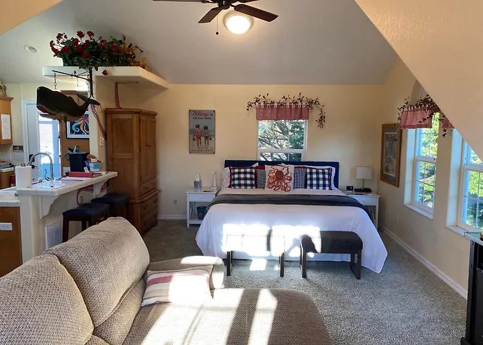 Octopus Suite