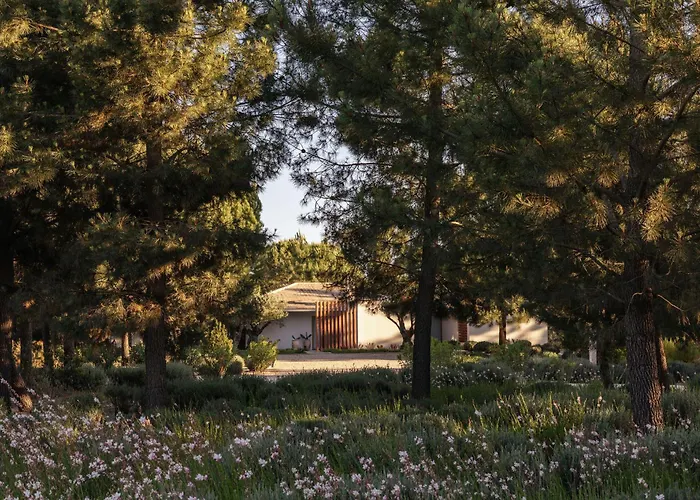 Spatia Comporta, A Member Of Design Hotels