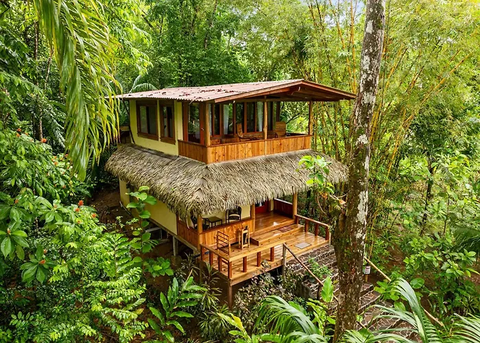 Copa De Arbol Beach & Rainforest Resort