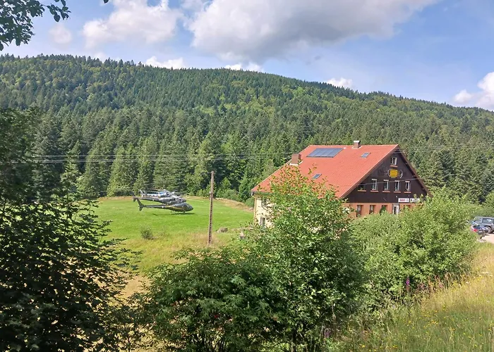 Domaine Des Hauts Viaux