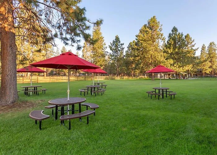 Best Western Ponderosa Lodge