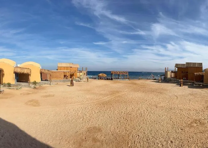 Full Moon Camp Sinai