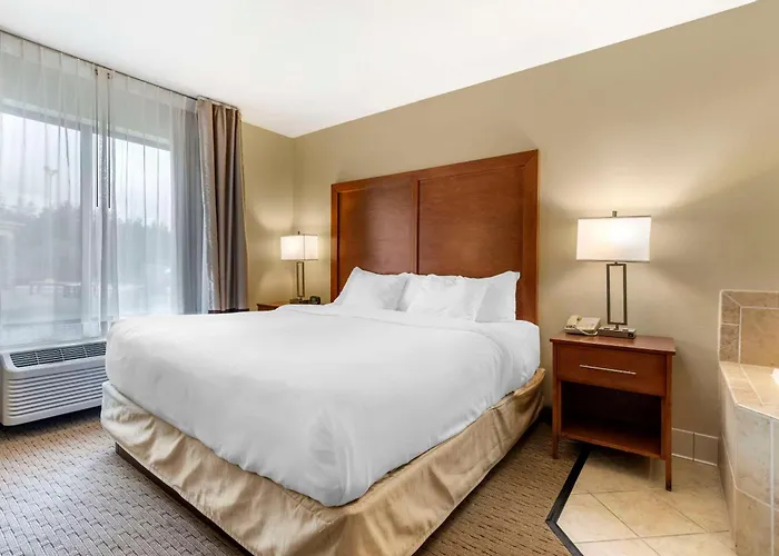 Comfort Inn & Suites Black River Falls I-94