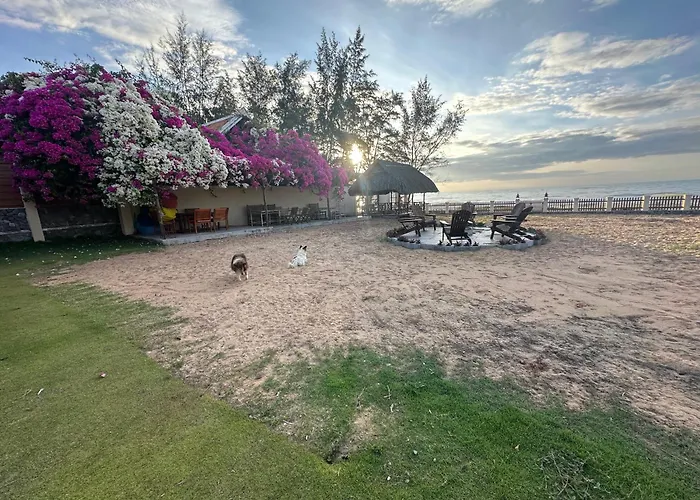 Orchid Boutique Beach Resort