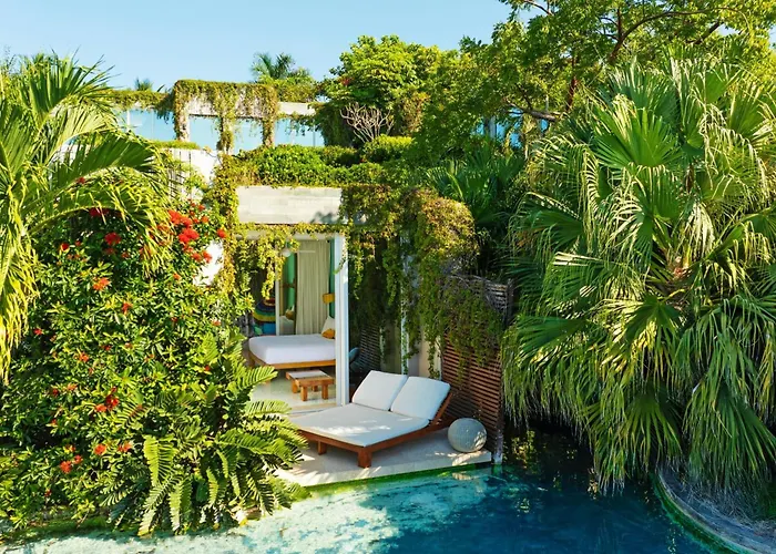 W Punta De Mita