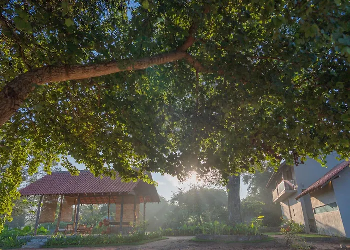 Tranquil Trails Sigiriya