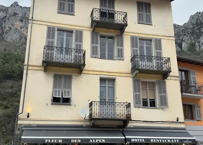 Hotel Fleur Des Alpes