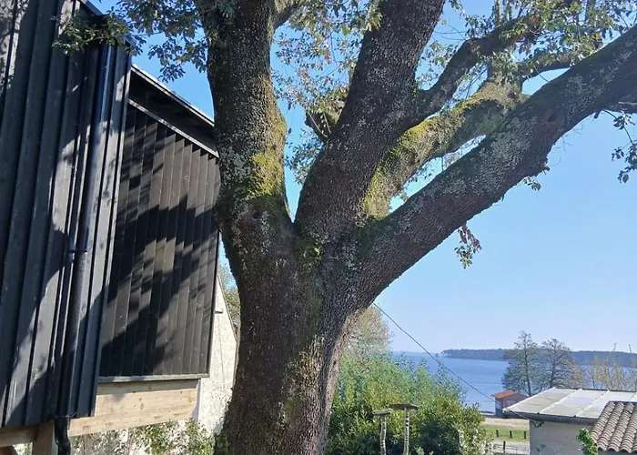 Chambre Perchée avec vue imprenable sur le lac de Lacanau