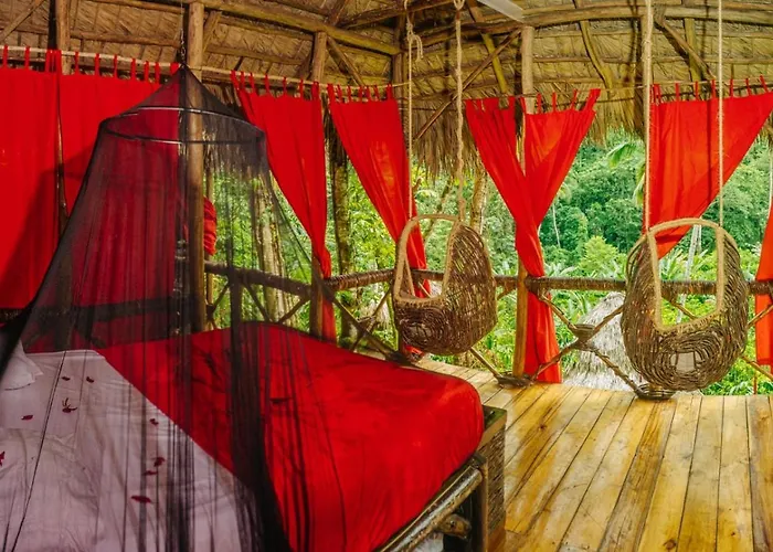 Tree House Village - Waterfall